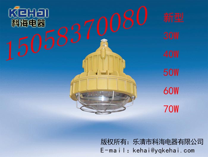 免維護(hù)LED防爆燈價(jià)格，BED-II40WLED防爆燈圖，免維護(hù)LED