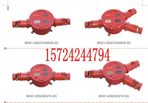 BHG1-400A/10KV-2G高壓接線盒