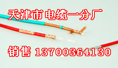 撫順礦用防爆電話電纜銷售，撫順煤礦防爆電話電纜廠家