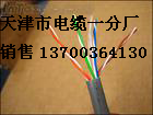 撫順供應(yīng)IAK2YVP，IAK2YVP22，撫順本安信號(hào)電纜