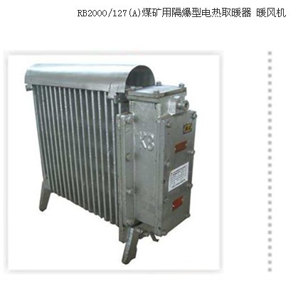 取暖器 RB2000/127(A)隔爆型電熱暖風(fēng)機(jī)2KW 127V