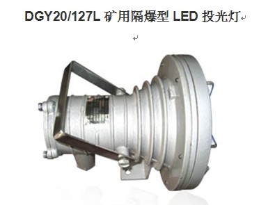 DGY20/24L隔爆型LED投光燈 20W投光燈LED光源24V