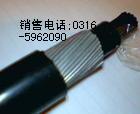 全聚氯乙烯局用電纜HJVV HJVVP 48，50，63，78