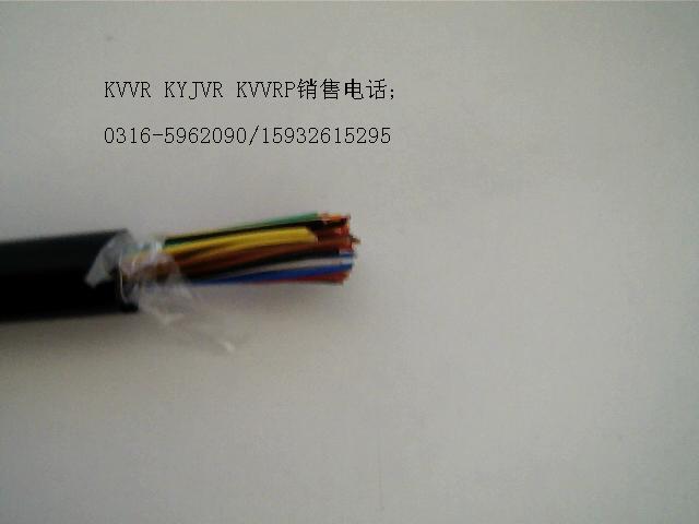 DJYPVPR計(jì)算機(jī)電纜DJYPVPR電纜;DJYPVPR