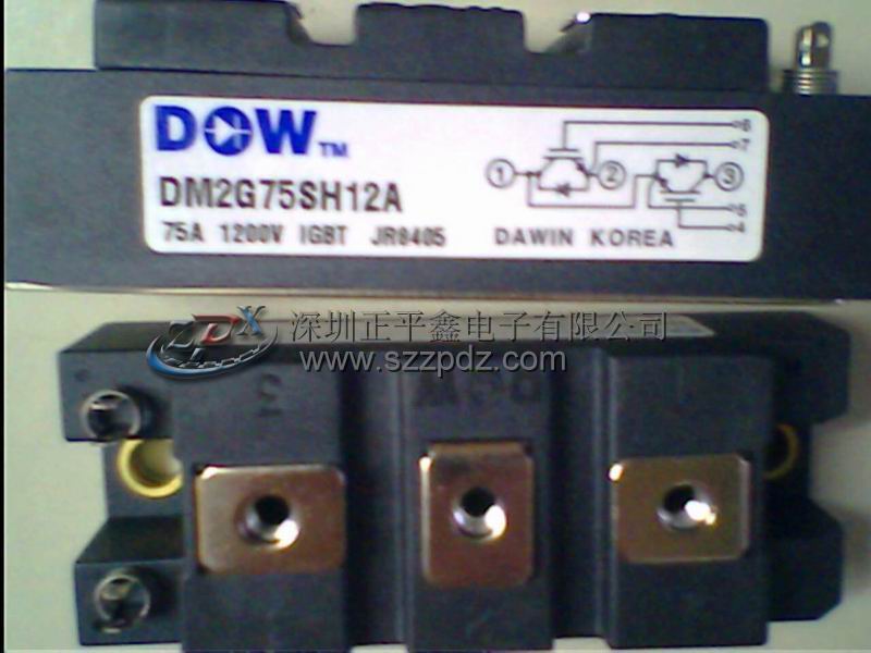 全新進口原裝DM2G75SH12A韓國大衛(wèi)模塊