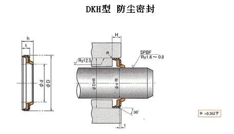 防塵DKH、dki軸往復(fù)運動密封圈-天津伊威井瑞專賣原裝進口密封圈