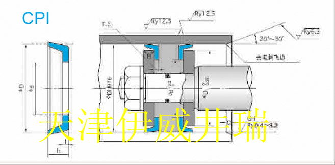 CPI密封件-活塞專用密封件-CPI標準件-nok品牌