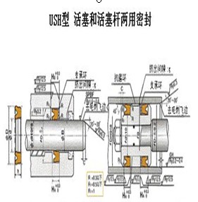 USH活塞與活塞桿專用密封件-nok密封件-天津專賣