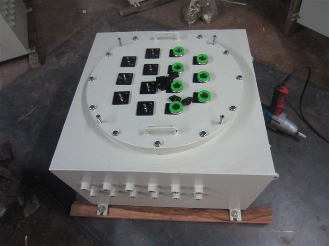 防爆電器控制箱（IIB級）防爆控制箱XBK(11B.11C)