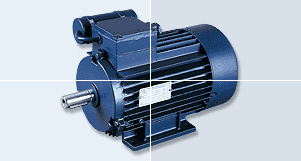 優(yōu)勢供應(yīng)德國Birkenbeul單向標(biāo)準電機