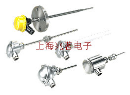 德國(guó)RINGSPANN扭力限制器和超越離合器聯(lián)軸器