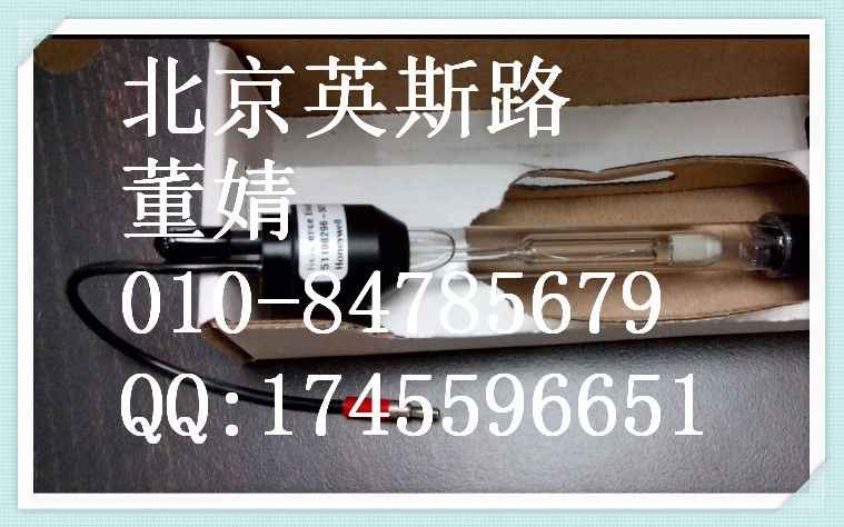 HONEYWELL 電極04905-X10-33-333-20-000-000