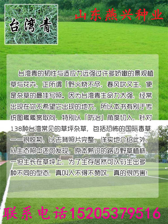 河北省滄州市護(hù)坡草播種方法