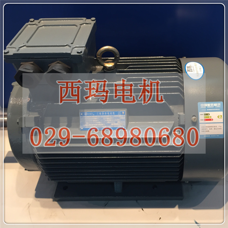 YGP250M2-8 22KW/IC410冷卻方式輥道電機(jī)一年質(zhì)?！绝櫶╇姍C(jī)】