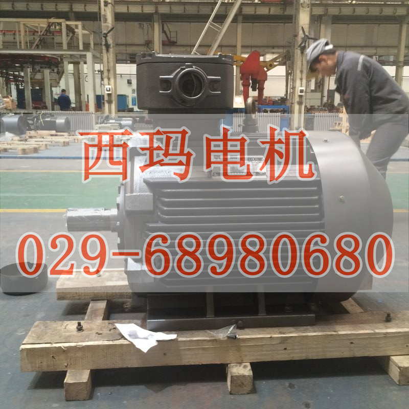 【JS115-10 45KW 380V】西瑪?shù)蛪喝喈惒诫姍C技術參數(shù)