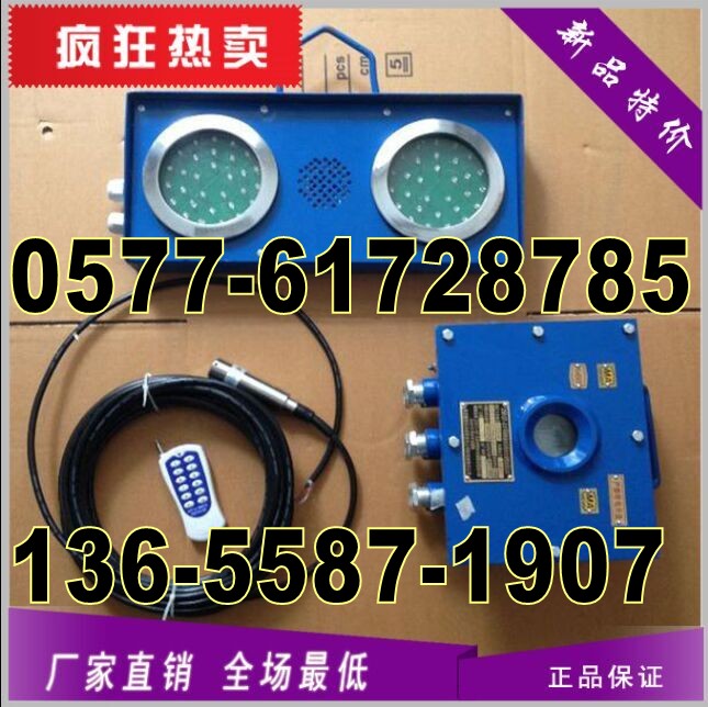 水倉(cāng)中央高低壓水位報(bào)警器ZSB127-Z-127V-36V