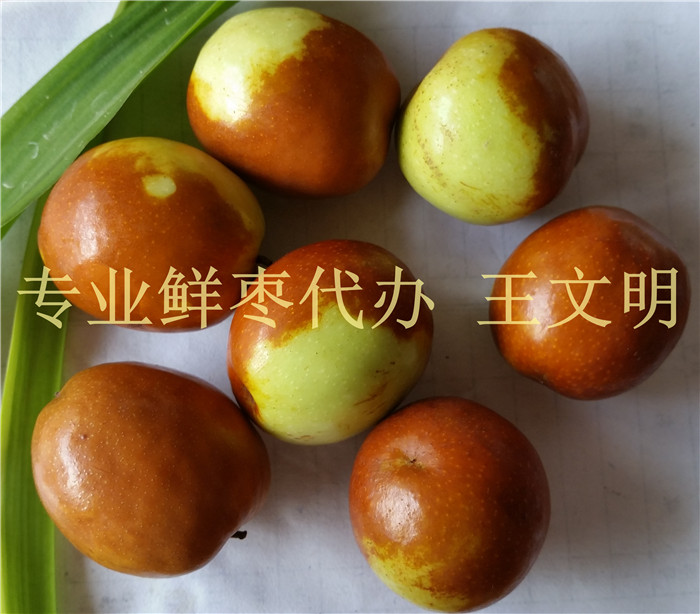 專業(yè)山東鮮紅棗批發(fā)商