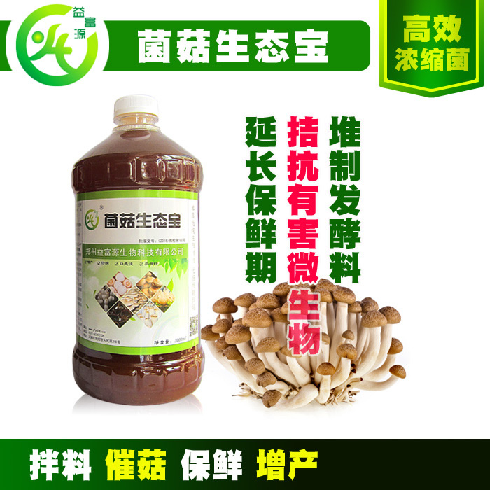 雞腿菇種植菌種拌料用的菌菇營(yíng)養(yǎng)液廠家聯(lián)系方式