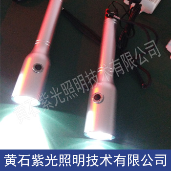 YJ1031固態(tài)免維護(hù)強(qiáng)光防爆電筒價(jià)格