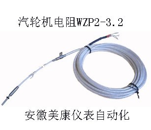 WZP2-6.4汽輪機鉑電阻價格 WZP2-3.2汽輪機鉑電阻 汽輪機鉑電阻廠家