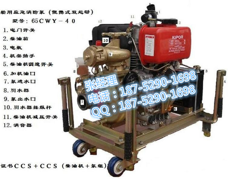 65CWY-40柴油機應急消防泵  提供CCS船檢