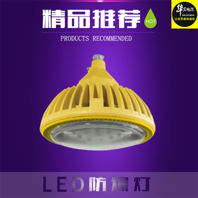 30W  50W ledS  BZD118 Led