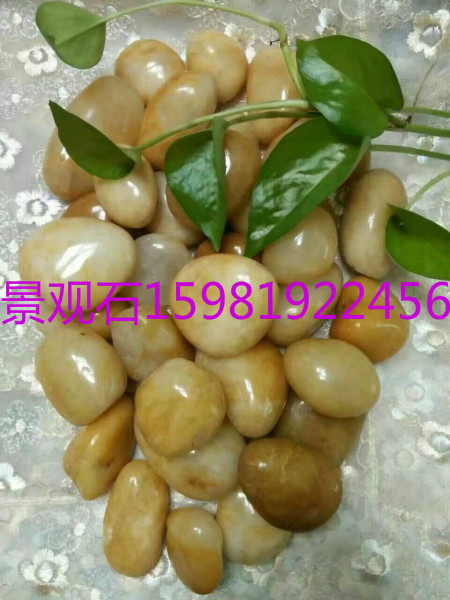 博爾塔拉3-5mm鵝卵石濾料廠家大量批發(fā)