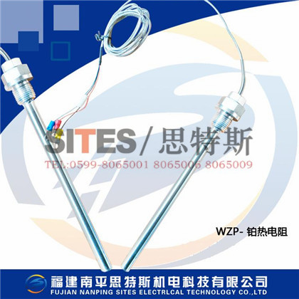 WZP 熱電阻傳感器