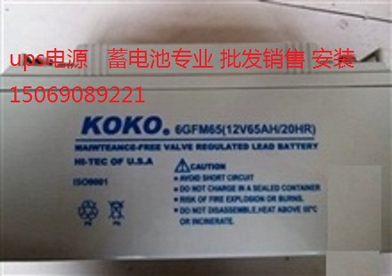 ups電池KOKO可可牌6GFM38