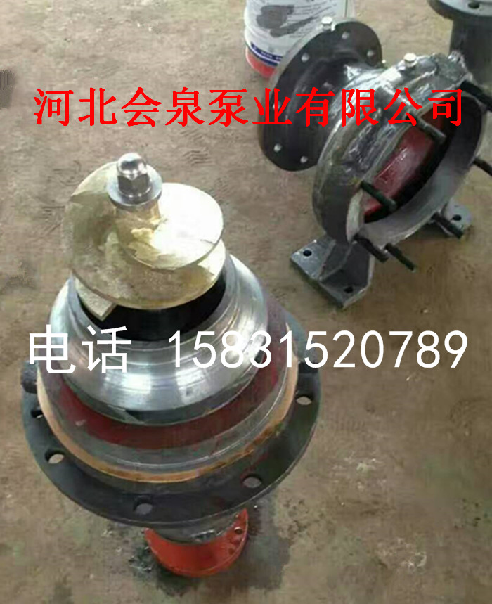 (廠家會泉CZ125-80-315)耐酸化工泵