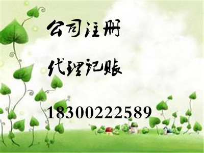 財(cái)稅專業(yè)會(huì)計(jì)團(tuán)隊(duì)免費(fèi)幫您注冊(cè)公司