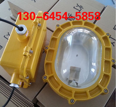 FB2302(ni)(chng)(qing) 100W