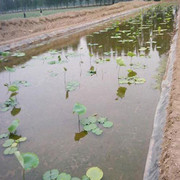 歡迎光臨=【廣元土工布廠家】=有限公司！歡迎您