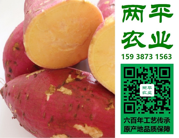 紅薯粉條進(jìn)貨價(jià)格|純手工紅薯粉條當(dāng)?shù)貜S家|純手工紅薯粉條定制公司昔陽縣紅薯食品