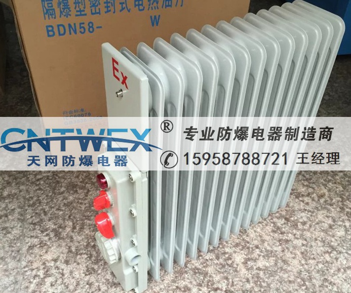 FLJR/BDN58-13/2KW͡13Ƭ 2000w