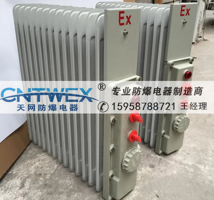 電廠(chǎng)鋼廠(chǎng)化工廠(chǎng)1500W/2000W隔爆型密閉式電熱油汀/防爆油汀