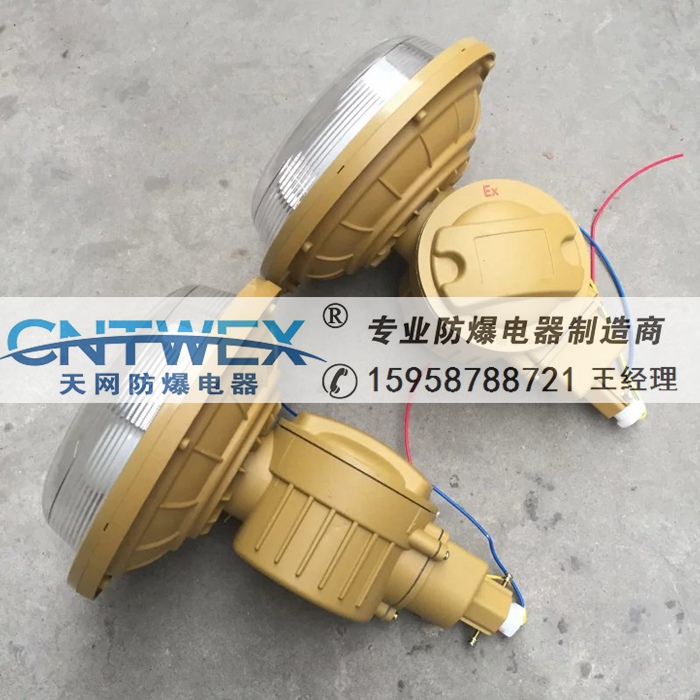 SBD1105-YQL120C1/C2防爆吸壁式無極燈彎桿式電磁燈