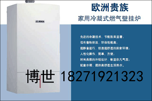 武漢博世歐洲之星銷售、武漢德國博世歐洲之星24KW銷售