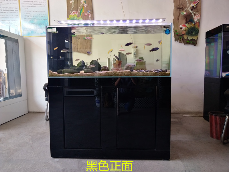 黑金剛海水缸  魚缸定做  生態(tài)免換水魚缸