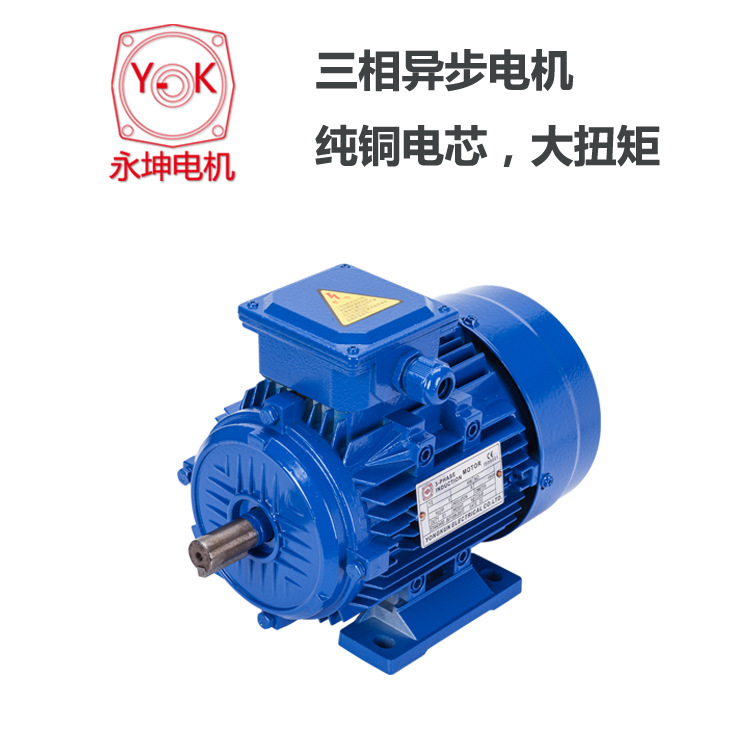 三相異步電機(jī)YE2-4-550W價(jià)格