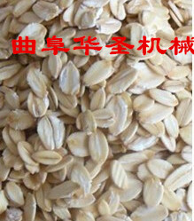 糧食破碴機(jī)使用要求小麥擠扁機(jī)定西