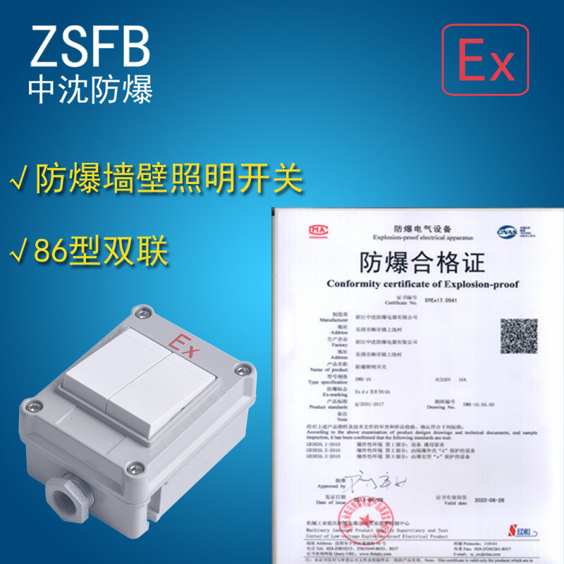 防爆墻壁照明開關SWB-10A/220V  86型開關暗裝開關雙聯(lián)二開