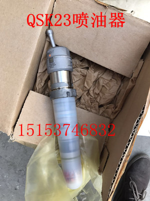 國外訂貨康明斯4902828-QSK23噴油器