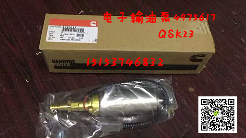 QST30-G4電子泵4975617輸油泵-康機12缸發(fā)電機組