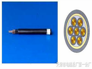 屏蔽電纜RVSP-300/500V遠(yuǎn)程控制電纜