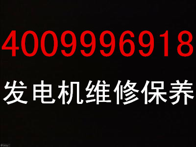 江寧區(qū)有口碑的大宇發(fā)電機(jī)維護(hù)