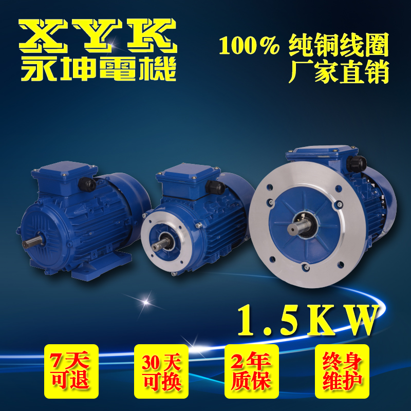 直銷臺(tái)灣永坤正品三相異步電動(dòng)機(jī)YX3-90S-2立式2極1.5KW鋁殼電動(dòng)機(jī)