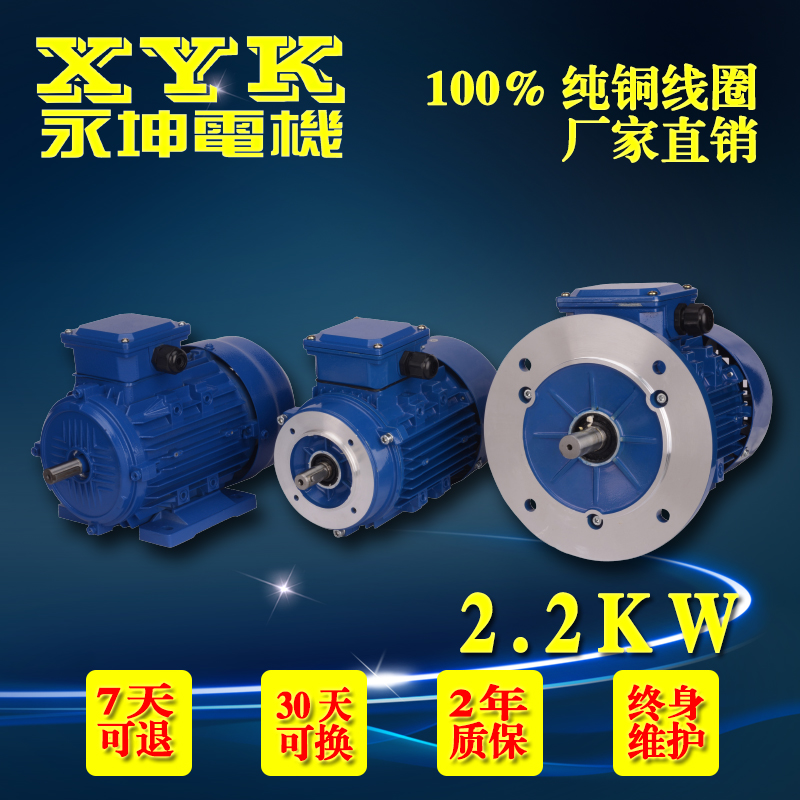 直銷臺(tái)灣永坤正品三相異步電動(dòng)機(jī) YX300L1-4立式4極2.2KW鋁殼電動(dòng)機(jī)