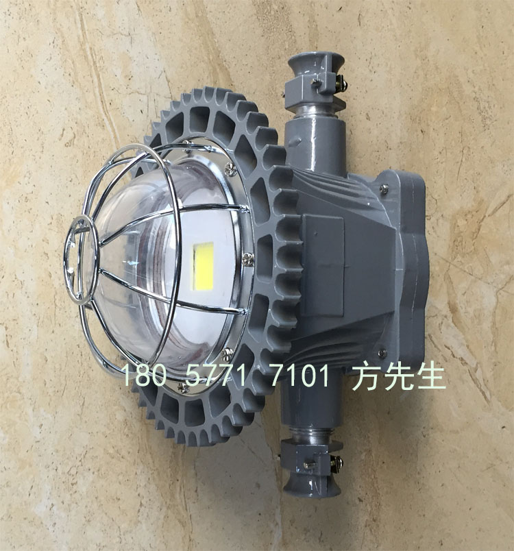 DGS28/127L(A)礦用隔爆型LED巷道燈