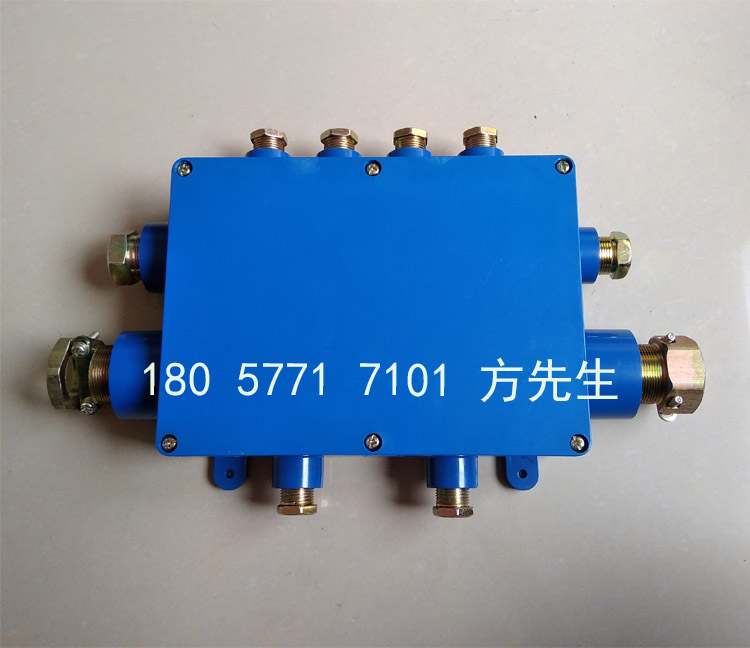 JHH-10（D）十通10對(duì)本安電路用接線盒